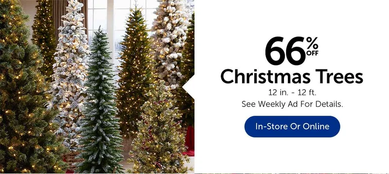 Christmas Trees