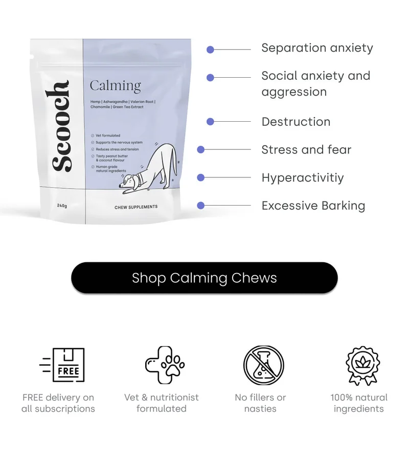 Shop Calming Chews
