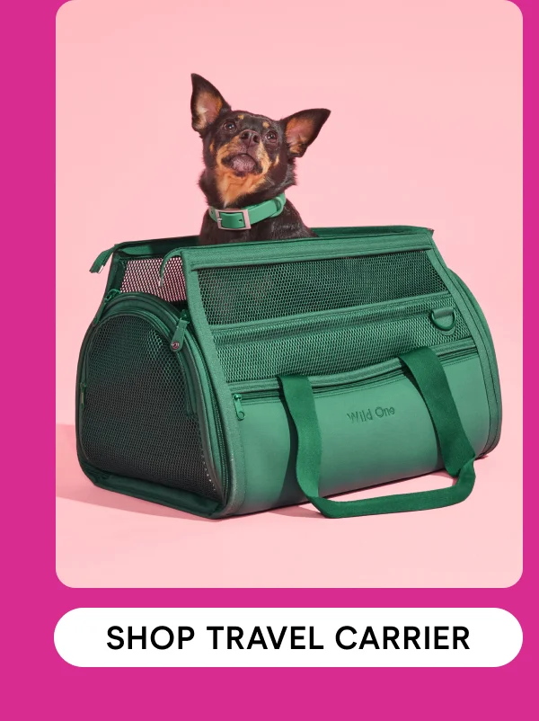 Shop Travel Carrier