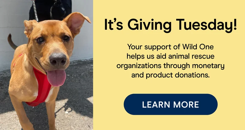 It’s Giving Tuesday! Your support of Wild One helps us aid animal rescue organizations through monetary and product donations. LEARN MORE