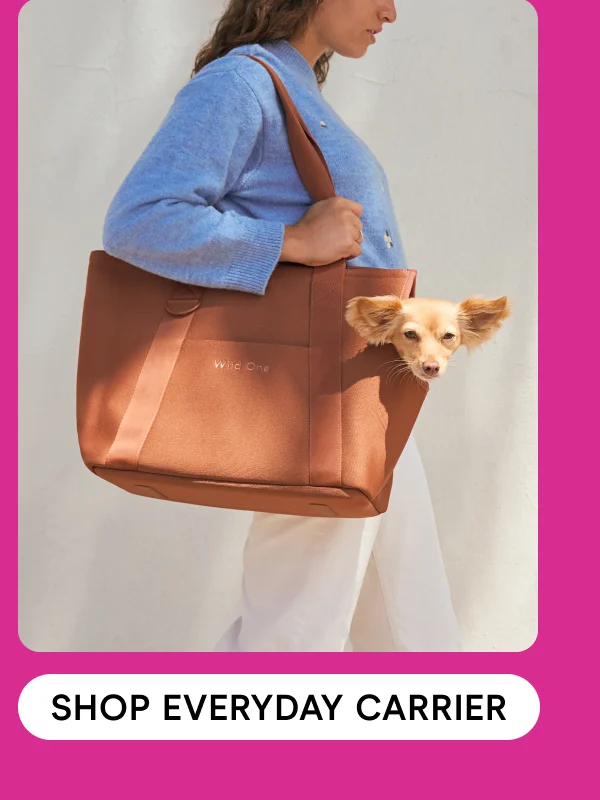 Shop Everyday Carrier
