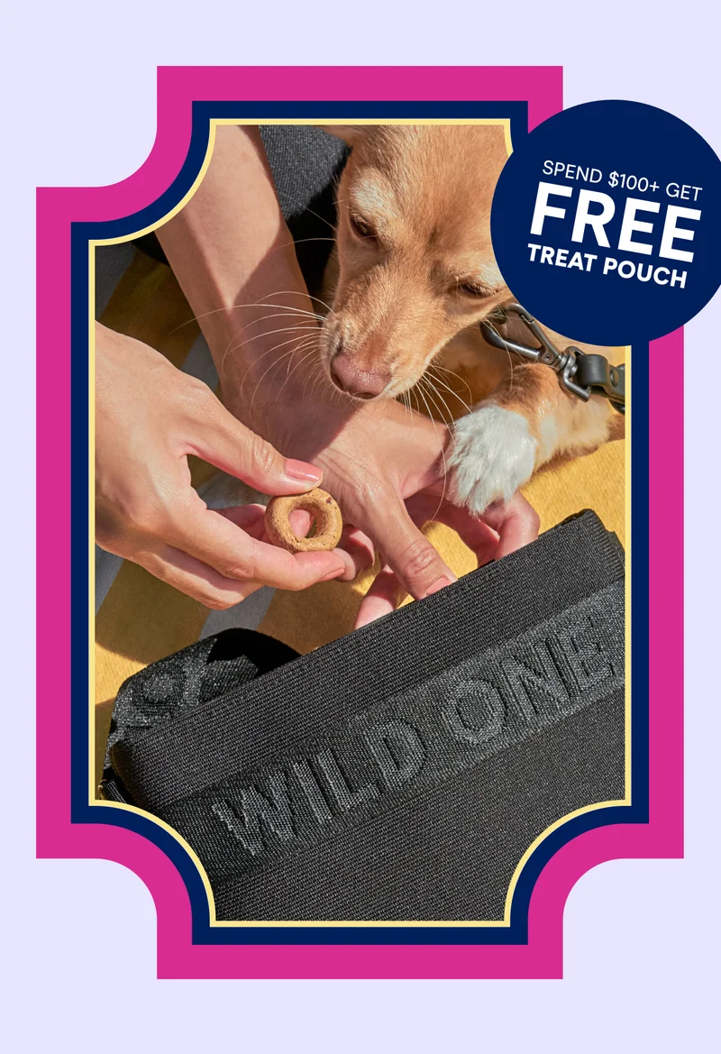 Spend $100+ Get FREE Treat Pouch