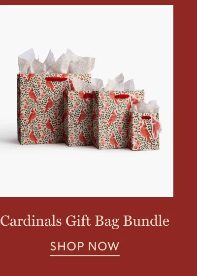 Cardinals Gift Bag Bundle - Shop Now