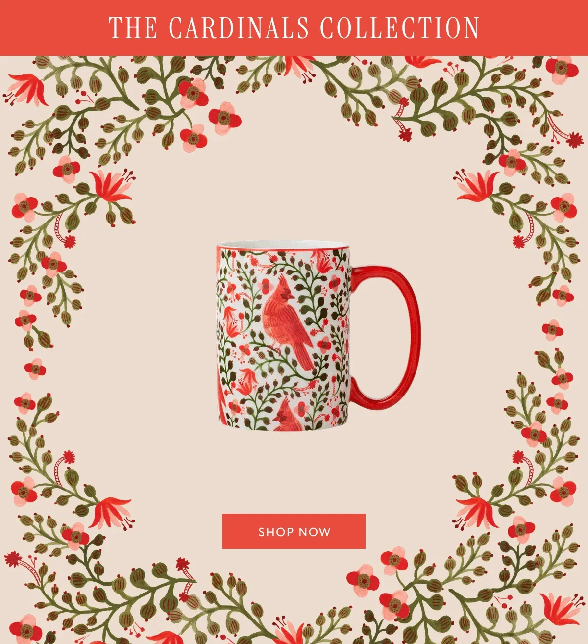 The Cardinals Collection - Shop Now