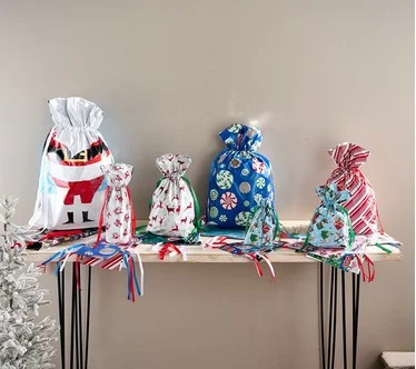 Kringle Express 50-Piece Gift Bags & Tags Set