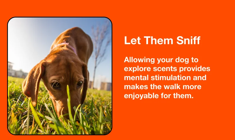 Let Them Sniff