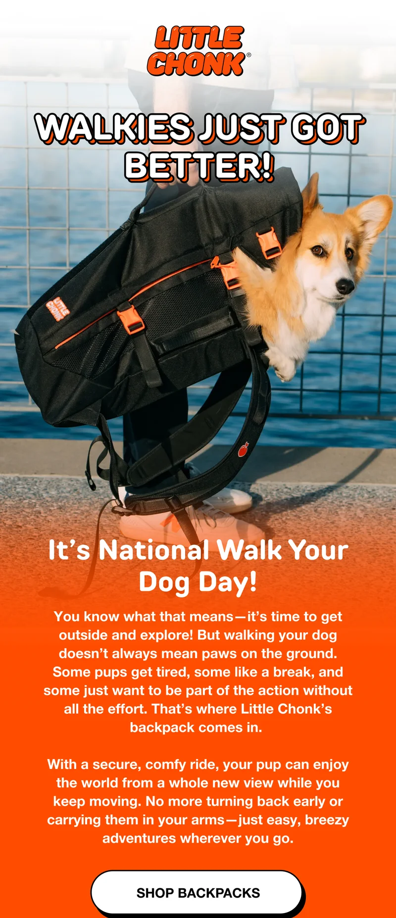 WALKIES JUST GOT BETTER!