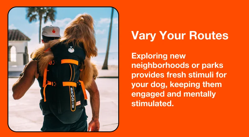 Vary Your Routes