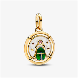 Scarab Beetle Medallion Charm