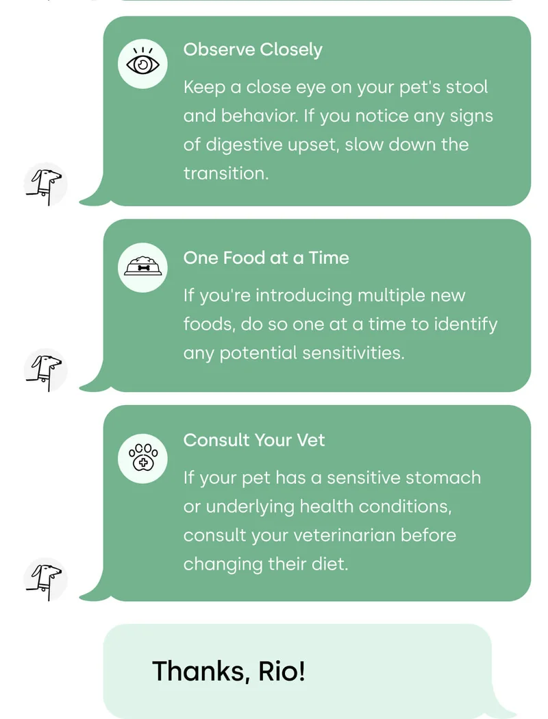 can I introduce new food to my pet? - read the blog