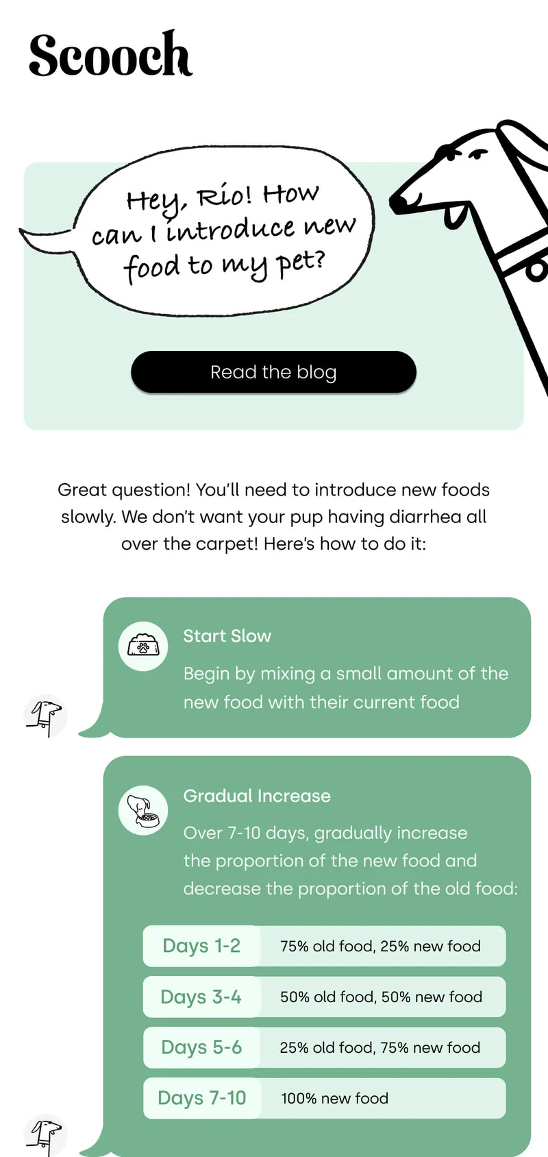 can I introduce new food to my pet? - read the blog