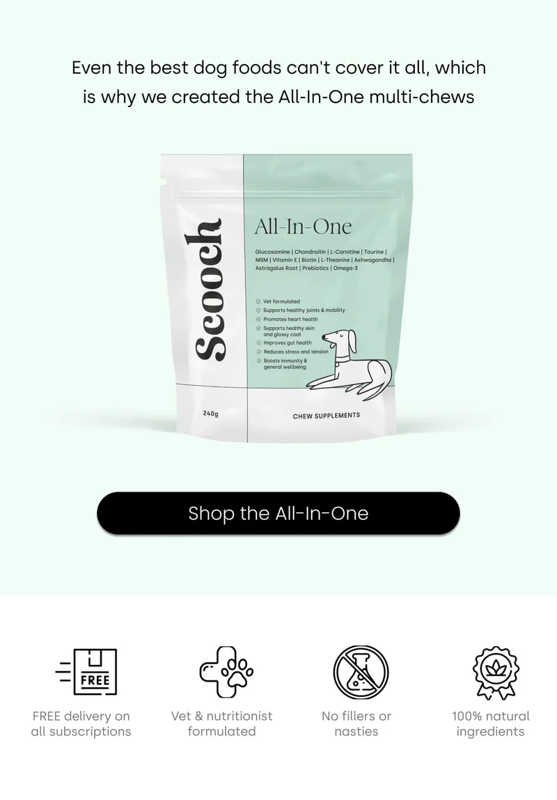 Even the best dog foods can't cover it all, which is why we created the All-In-One multi-chews - Shop the All-in-one