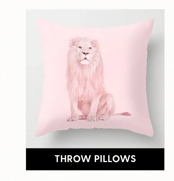 Shop Throw Pillows