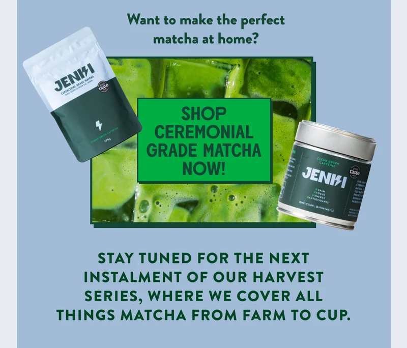 Shop Matcha Now
