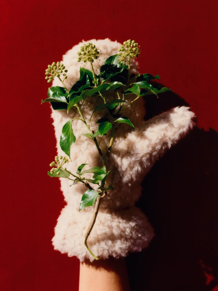 Focus Image 2