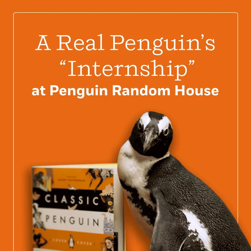 A Real Penguin's "Internship" at Penguin Random House