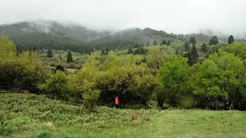 Malcolm, hiking in Montana