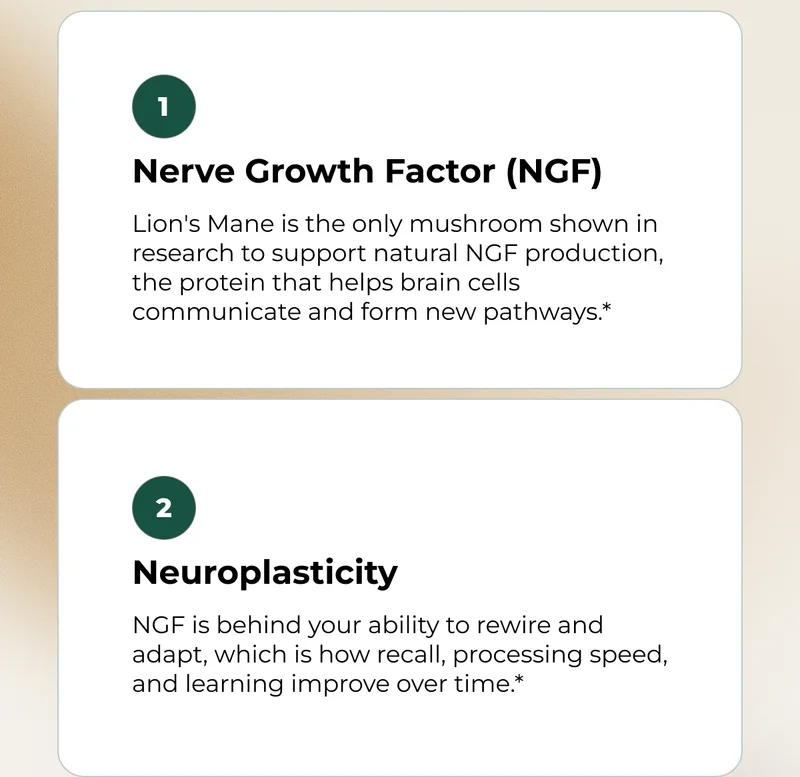 NERVE GROWTH FACTOR | NEUROPLASTICITY