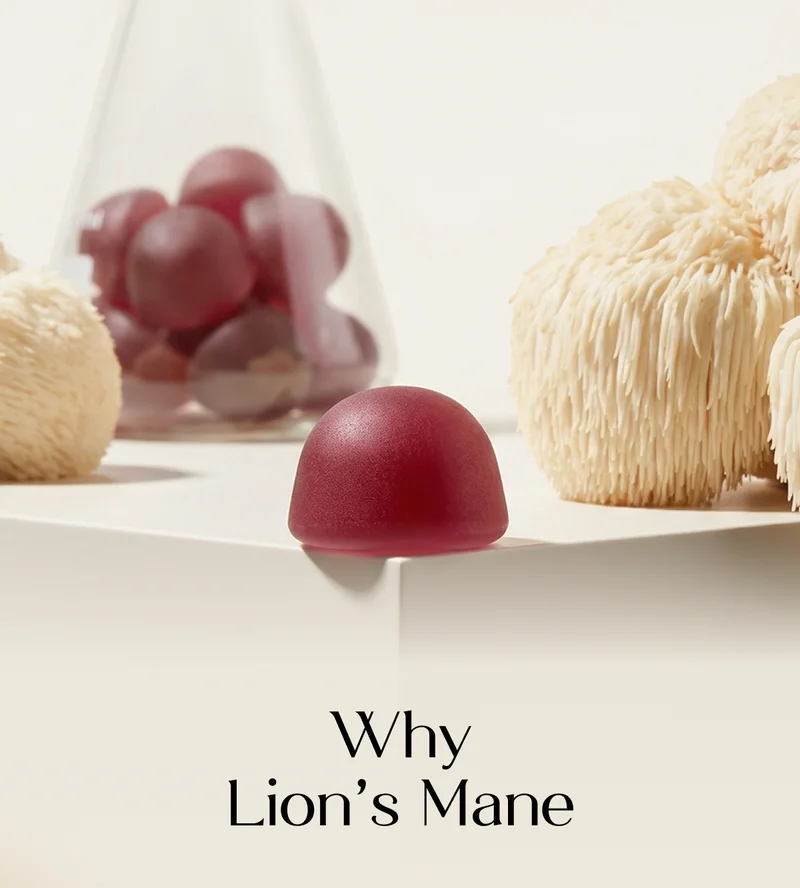 WHY LIONS MANE