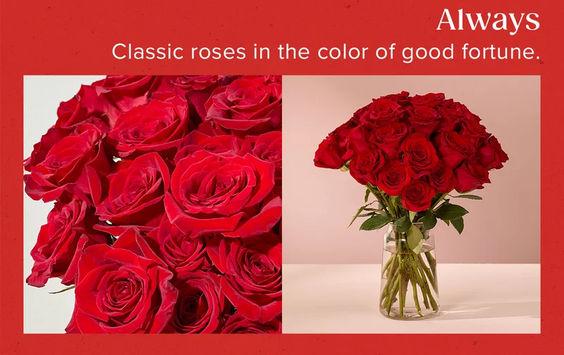 Always = Classic roses in the color of good fortune.