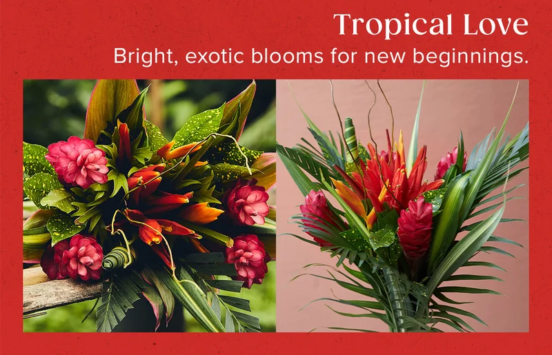 Tropical Love = Bright, exotic blooms for new beginnings.