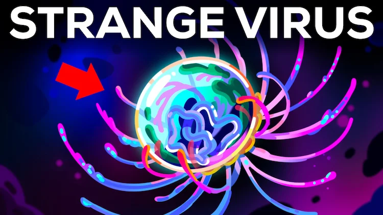 New Video!