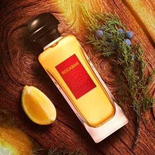 FragranceX Instagram previews