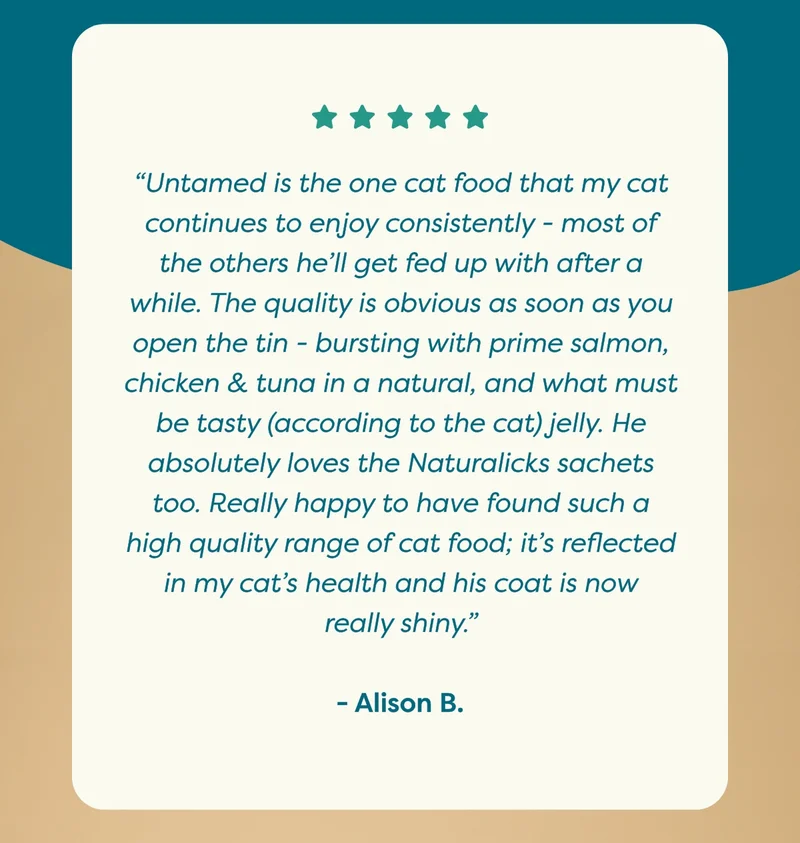 Alison B's review