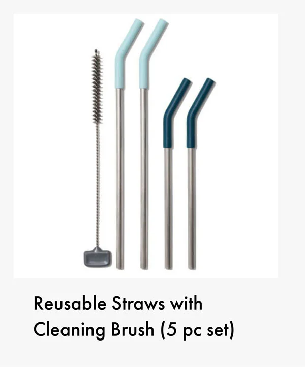 Reusable Straws with Cleaning Brush (5 pc Set)