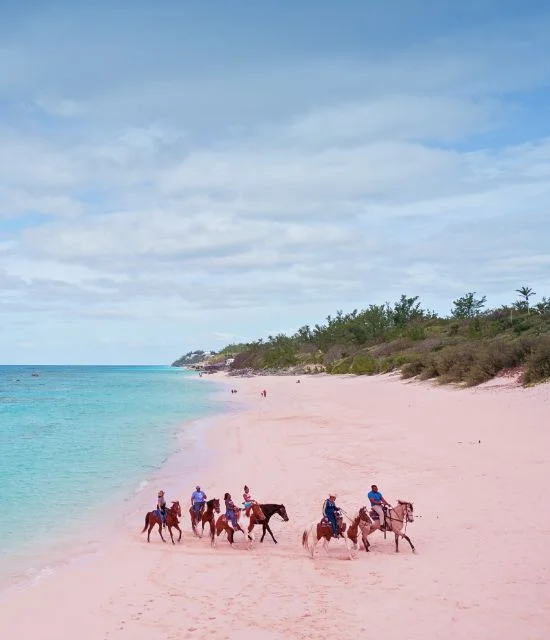 Cruise to Bermuda From NYC (Brooklyn) – Click to View Itineraries & Book Now