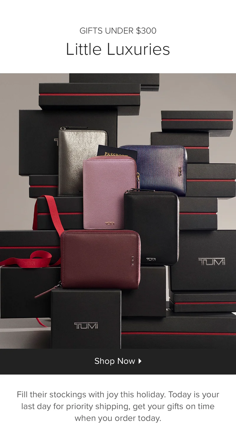 Little Luxuries ~ SHop Gifts Under $300