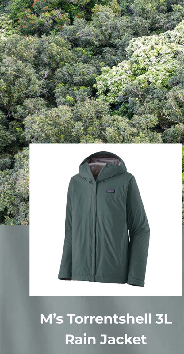 M’s Torrentshell 3L Rain Jacket