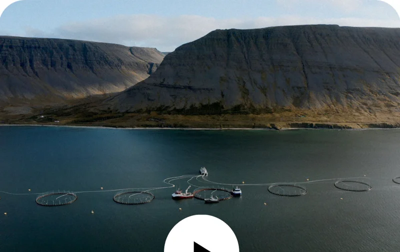 Watch the film A Salmon Nation. It’s the story of a country united by its lands and waters, and the power of a community to protect the wild places and animals that helped forge its identity.