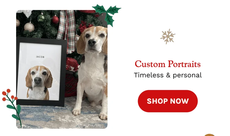 Custom Portraits