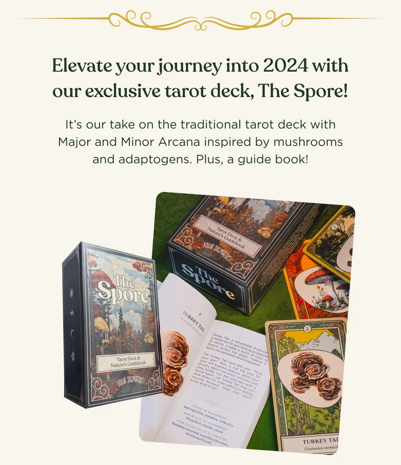 Elevate your journey into 2024 with our exclusive tarot deck, The Spore! It's our take on the traditional tarot deck with Major and Minor Arcana inspired by mushrooms and adaptogens. Plus, a guide book!