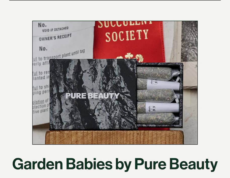 Pure Beauty Garden Babies