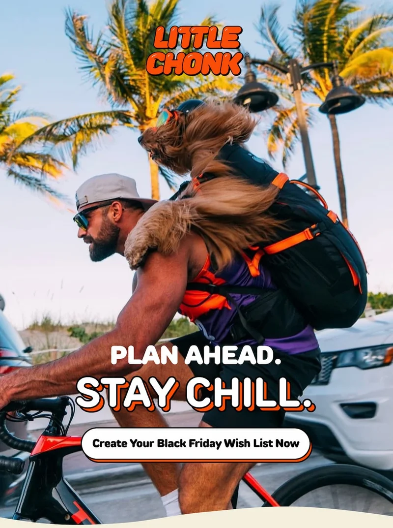 Plan Ahead. stay chill. stay chill.