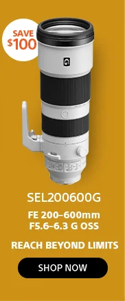 SEL200600G Shop Now