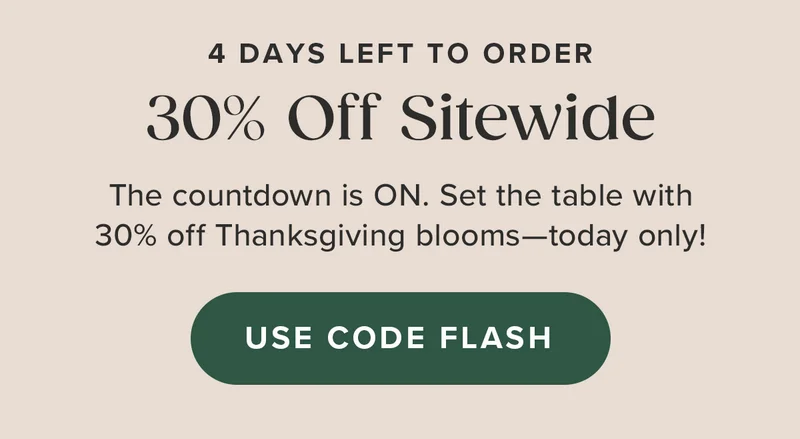 4 Days Left To Order. 30% off sitewide. Use Code FLASH