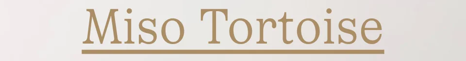 Miso Tortoise