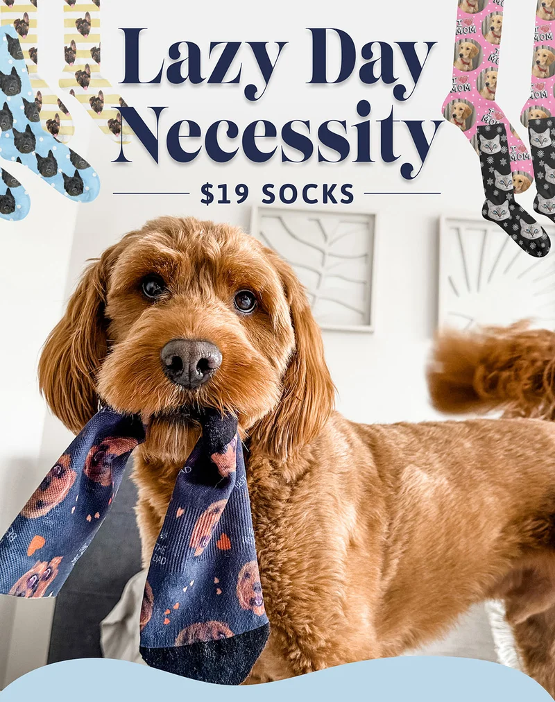 Lazy Day Necessity. $19 Socks