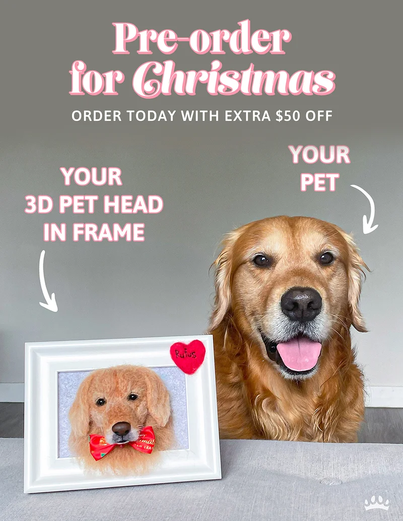 Pre-order for Christmas: Extra $50 off today