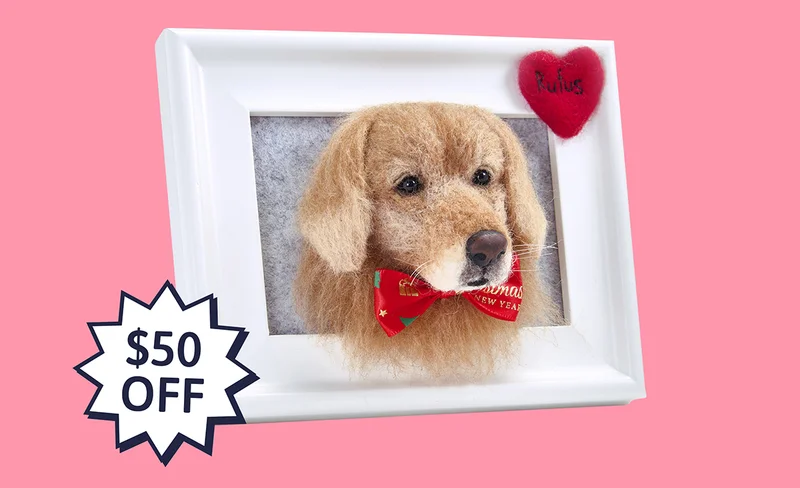 Handmade 3D Pet Face in Frame