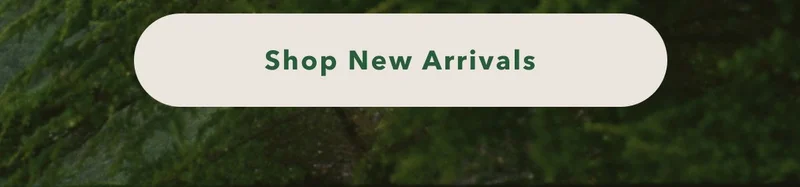 Shop New Arrivals