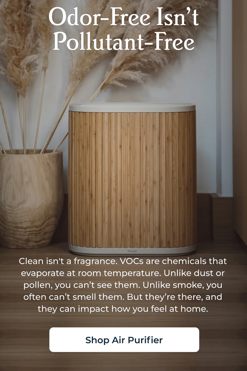 Odor-Free Isn’t Pollutant-Free