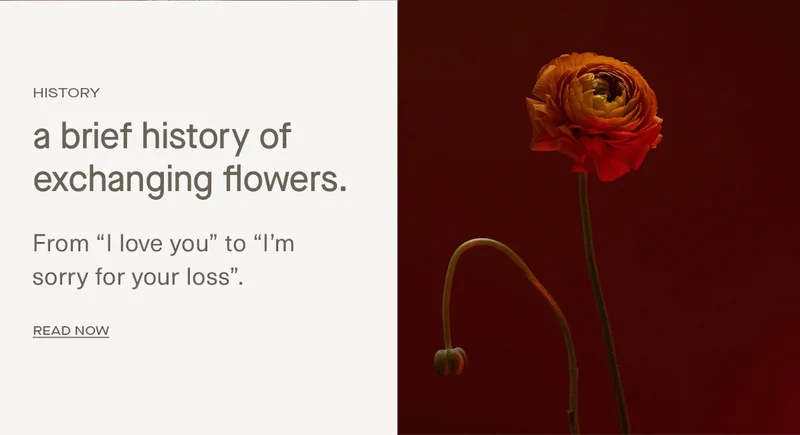 a brief history of exchanging flowers.