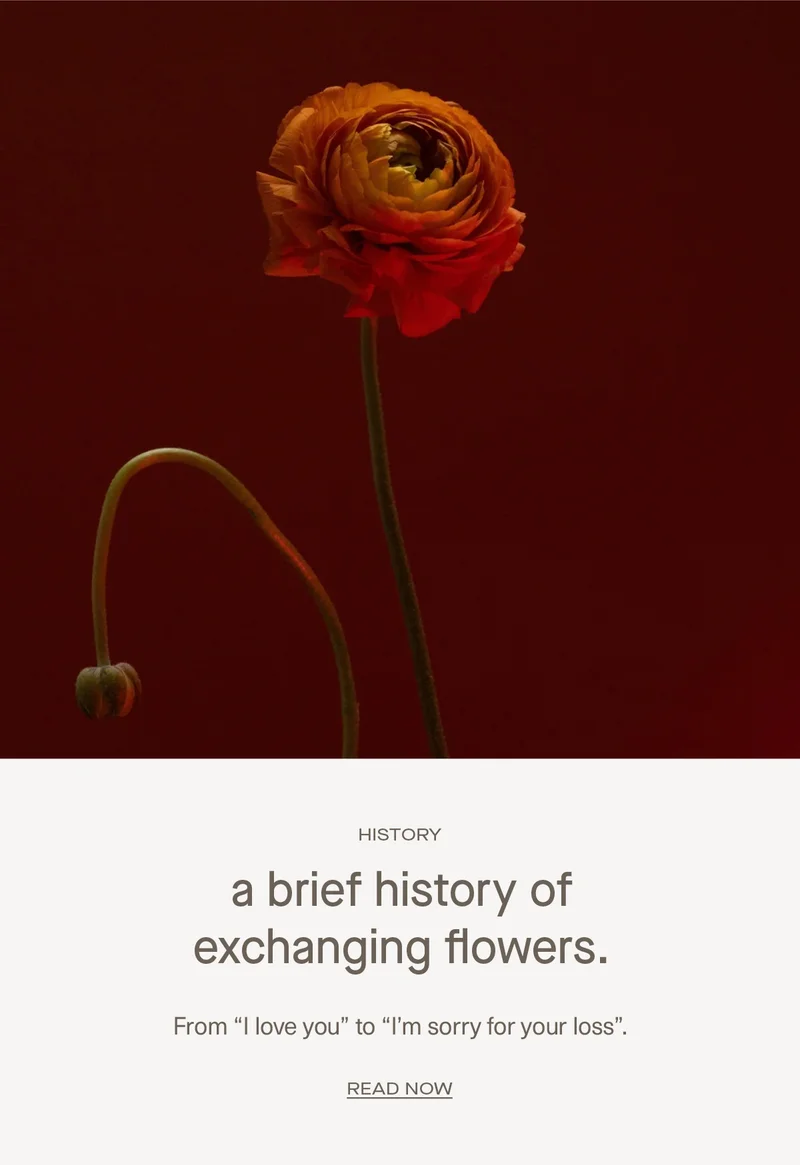 a brief history of exchanging flowers.