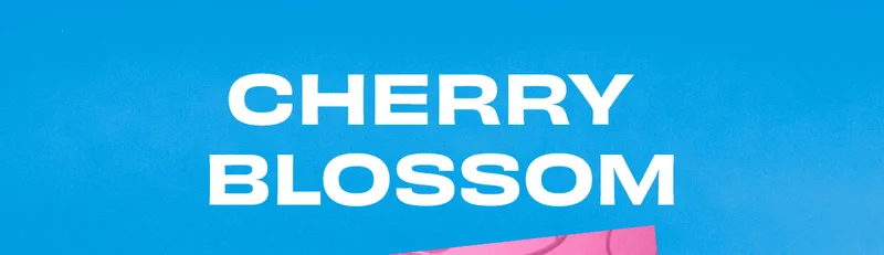 Cherry Blossom