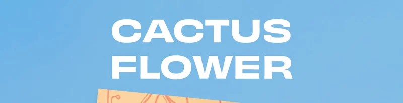 Cactus Flower