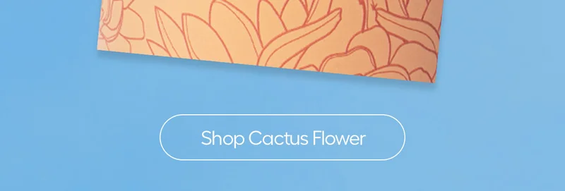 Shop Cactus Flower